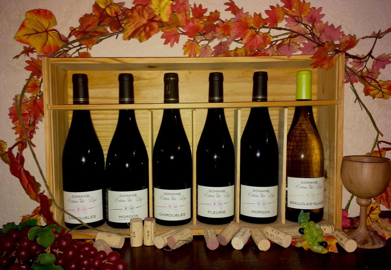 Domaine Du Coteau Des Lys 호텔 플루리 외부 사진