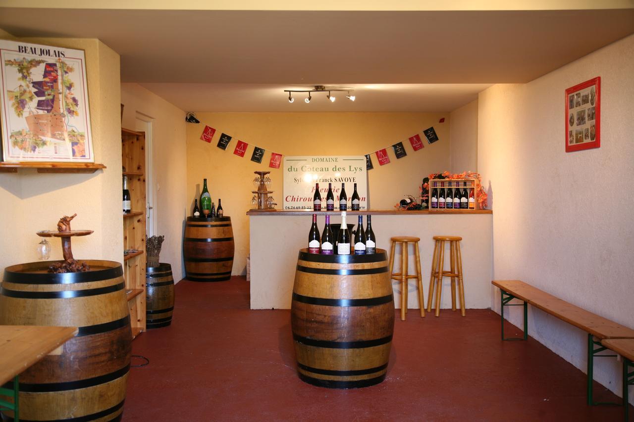Domaine Du Coteau Des Lys 호텔 플루리 외부 사진